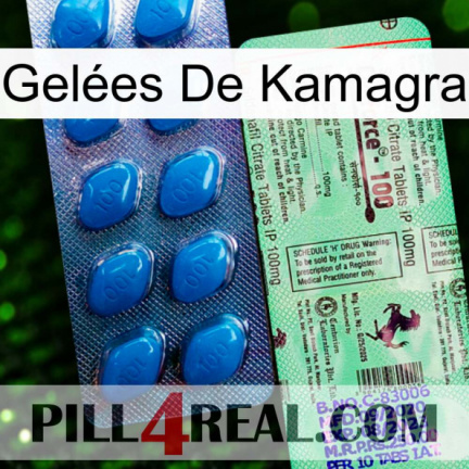 Gelées De Kamagra new02